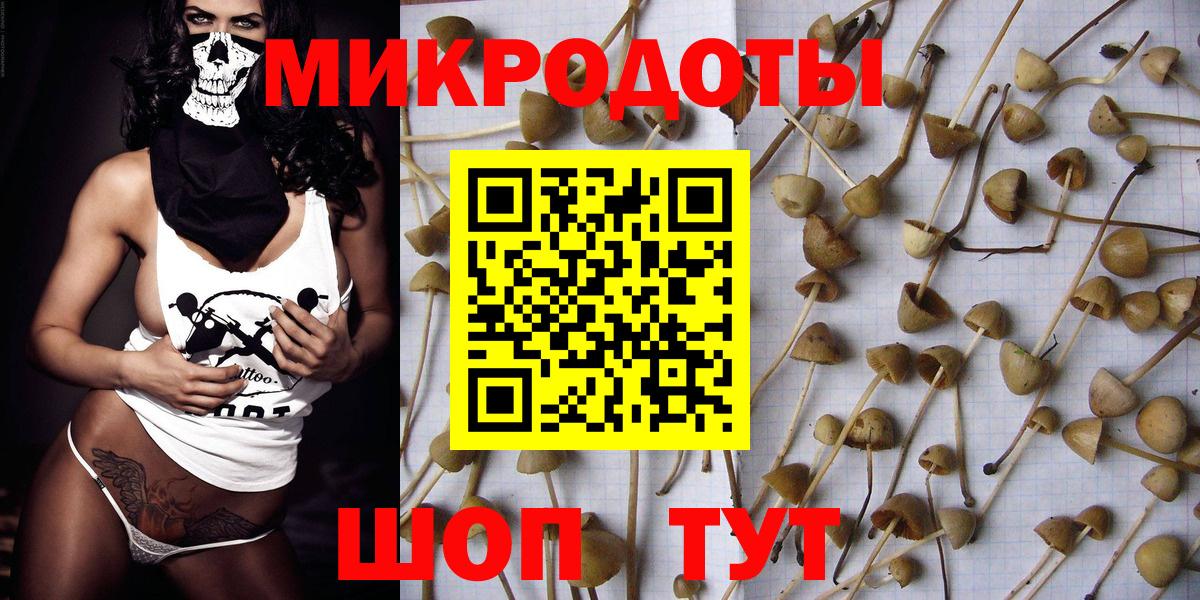 Ленинск-Кузнецкий  Псилоцибиновые грибы ЛСД  Галлюциногенные грибы Cubensis  Вход с VPN 