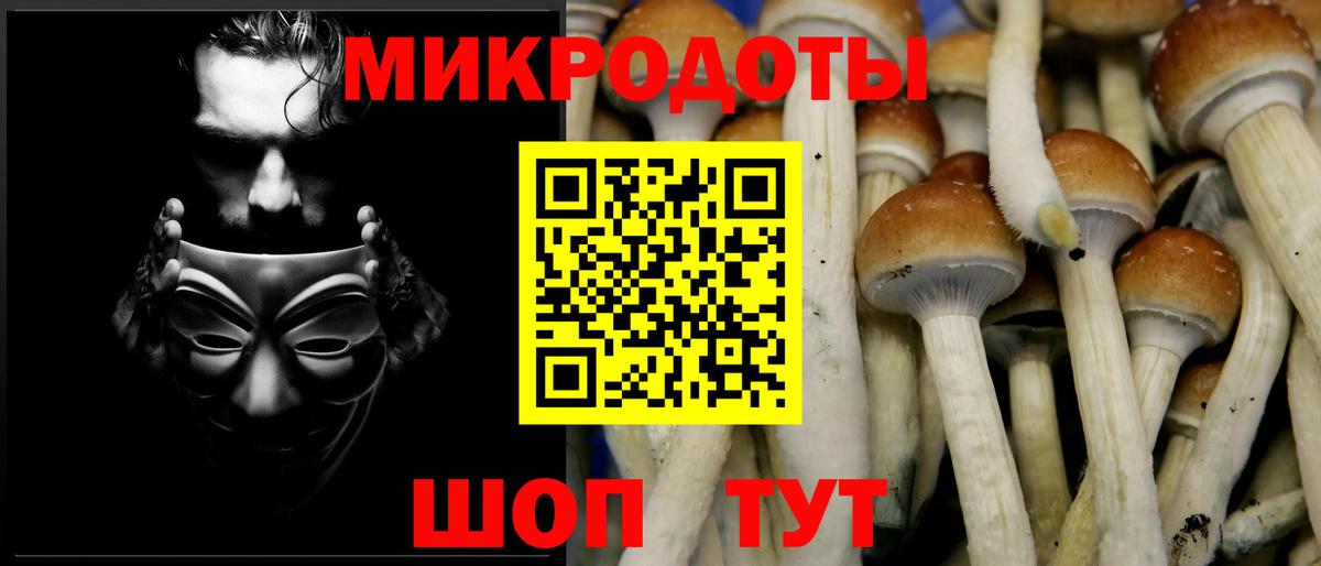Галлюциногенные грибы мухоморы Ленинск-Кузнецкий